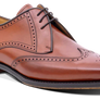 Barker Bakewell - Chestnut Calf