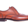 Barker Bakewell - Chestnut Calf